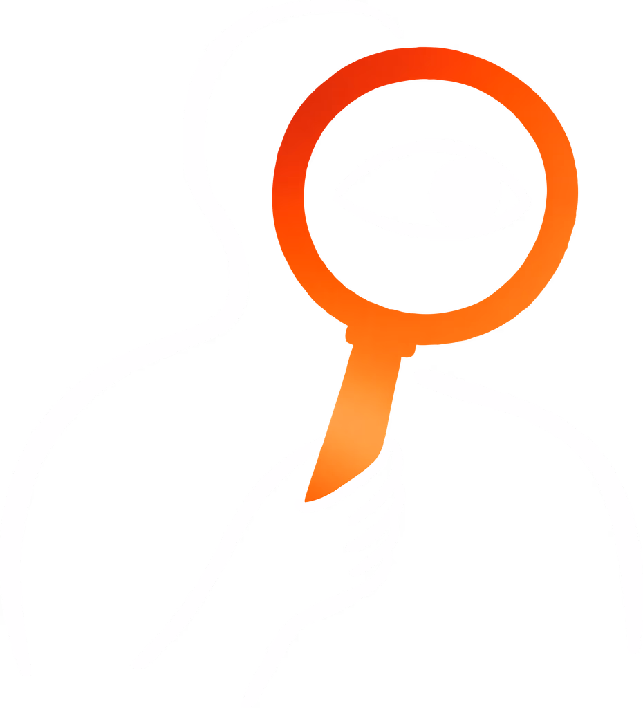 EdTech SEO reporting and program-level rank views
